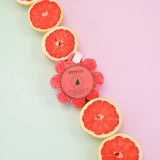 Spongelle Grapefruit Cassis / Wild Flower Soap Sponge