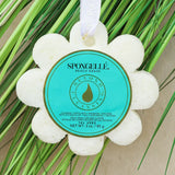 Spongelle Beach Grass / Wild Flower Soap Sponge