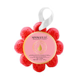 Spongelle Grapefruit Cassis / Wild Flower Soap Sponge