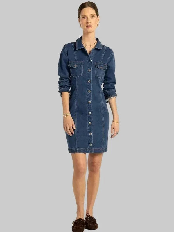 Button front denim dress