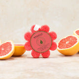 Spongelle Grapefruit Cassis / Wild Flower Soap Sponge